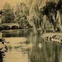 Taylor Park: View of Taylor Park, Millburn