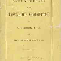 Township Committee: Annual Report, 1878