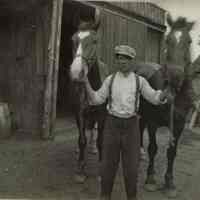 Marshall-Schmidt Album: Man Holding Two Horses By Bridles