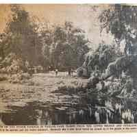 Taylor Park: Storm Damage of Lake