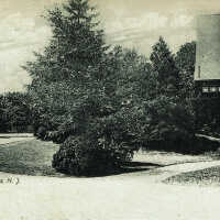 Station Park Postcard (c. 1906)