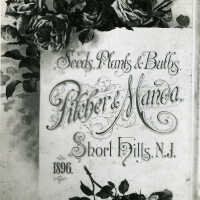 Pitcher & Manda Seeds, Plants & Bulbs, 1896