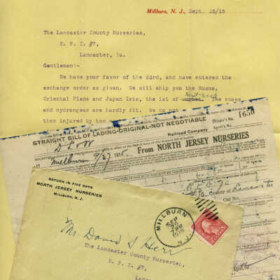North Jersey Nurseries envelope and contents, 1915