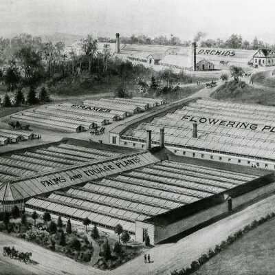 U.S. Nurseries Greenhouses,1895