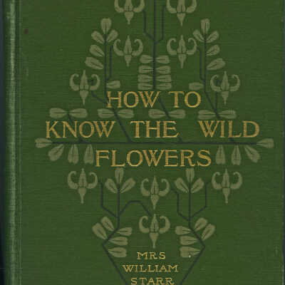 Hartshorn: How to Know the Wild Flowers, 1903