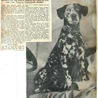 Wehrle Scrapbook: Fire dog "Smoke article