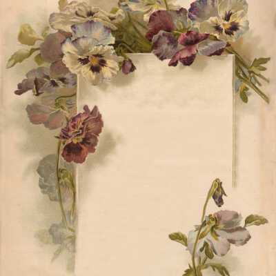 Pitcher & Manda Color Flowers Ad