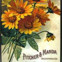 Pitcher& Manda Inc., Reproductio- Small Metal Sign