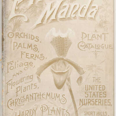 Pitcher & Manda Tan 1894 Plant Catalog