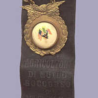 Medal: Mutual Aid Society of Agriculturalists, Italian Fraternal Medal, c. 1900