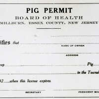 Pig Permit from the Essex County Board of Health, 1920s