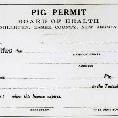 Pig Permit from the Essex County Board of Health, 1920s
