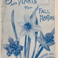 Pitcher and Manda "Bulbs, Seeds, and Plants for Fall Planting" catalog, 1893