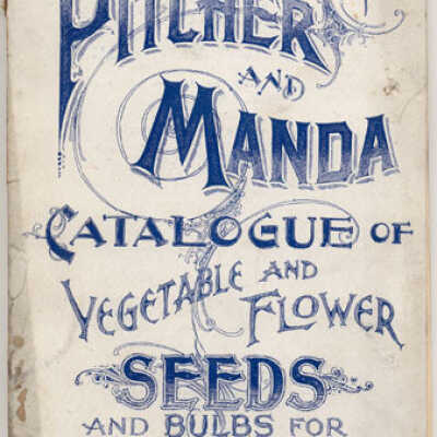 Pitcher and Manda "Catalogue of Vegetable and Flower Seeds and Bulbs for Spring Planting,"1894