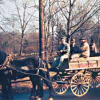 Trigger Club: Horse and Wagon carrying Trigger Club members, c. 1945