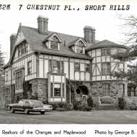 7 Chestnut Place, Short Hills