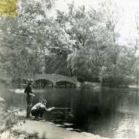 Taylor Park: Pond and Bridge