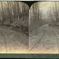 South Mountain Reservation: Stereoview of Car Tracks