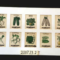 Seed Art