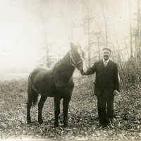 Tighe: William Tighe, Sr. on the Whittingham Farm with a Horse, c. 1907