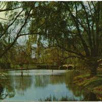 Taylor Park: View of Rahway River, 1954