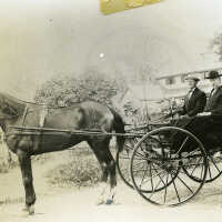 Lonergan: John Joseph Lonergan & his son Jack Lonergan in Horse & Carriage