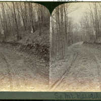 South Mountain Reservation: Stereoview of Path