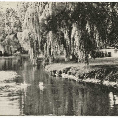 Taylor Park: View of Rahway River