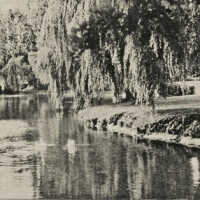 Taylor Park: View of Rahway River in Taylor Park, 1940