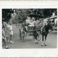 Badenhausen Pony at Park Circle, 1938