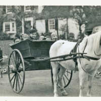 Badenhausen Pony at Park Circle, 1938