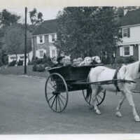 Badenhausen Pony at Park Circle, 1938