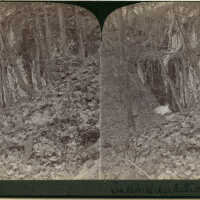 South Mountain Reservation: Stereoview of Waterfall