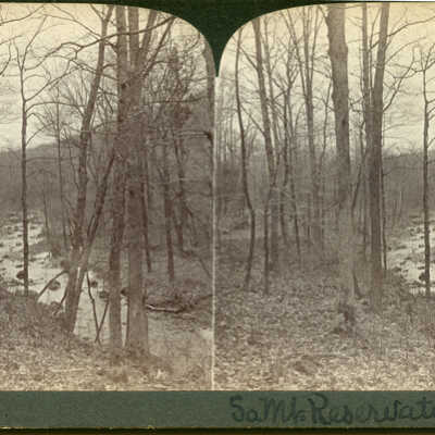 South Mountain Reservation: Stereoview of Stream