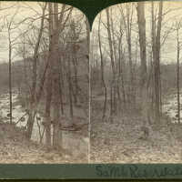South Mountain Reservation: Stereoview of Stream