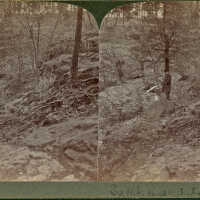 South Mountain Reservation: Stereoview of Man in Woods