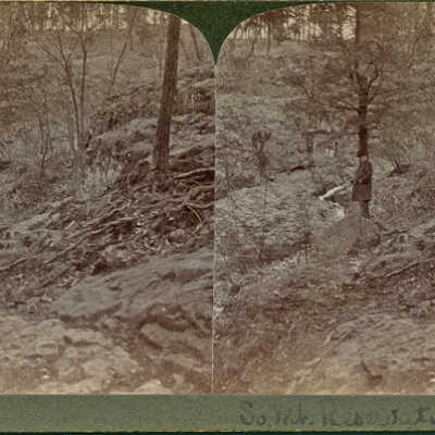 South Mountain Reservation: Stereoview of Man in Woods