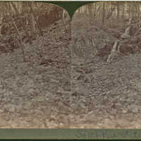South Mountain Reservation: Stereoview of Small Waterfall in Woods