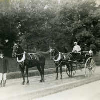 Redstone Tandem Horses