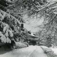          Up the driveway winter scene; Image Id #456
   