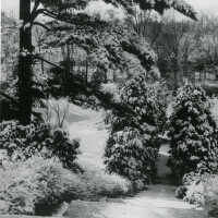 Hartshorn: 18 Crescent Place Garden in Winter