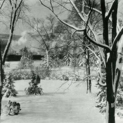 Hartshorn: 18 Crescent Place Garden in Winter.