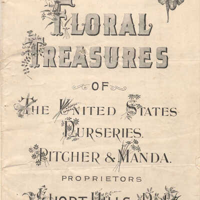 Pitcher & Manda Nurseries catalog, 1890