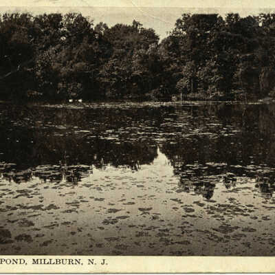 Smith's Pond, Millburn, N.J., 1919