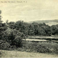 Old Mill Pond, Millburn