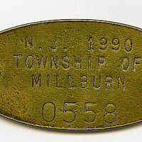 Millburn Township Dog Tag, 1990