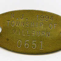 Millburn Township Dog Tag, 1994