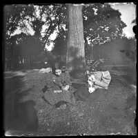 Blood: Two Girls and Two Cats Near a Tree