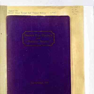 Hoover Dam Project and Present Status