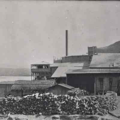 Gold Stamp Mill at Eldorado Canyon, ca. 1890s